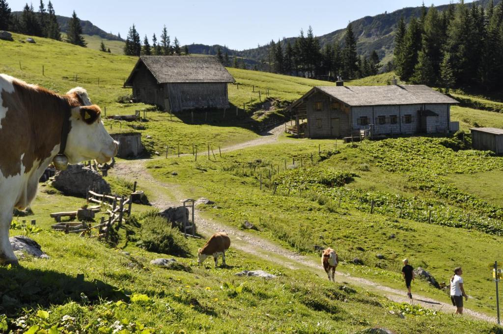 Landhaus Koller Гозау Экстерьер фото